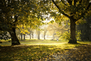 Herfstdag